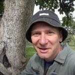 Az üreges fa nem ítélet: a fa élettartamának meghosszabbításának bevált