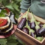 Ízletes, mint egy étteremben: tökéletes snack egyszerű alapanyagokból Ízletes, mint egy étteremben: tökéletes snack egyszerű alapanyagokból